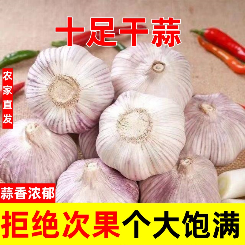 2025新干蒜紫白皮大蒜：解锁河南农家新蒜的秘密，5斤装直发原产地