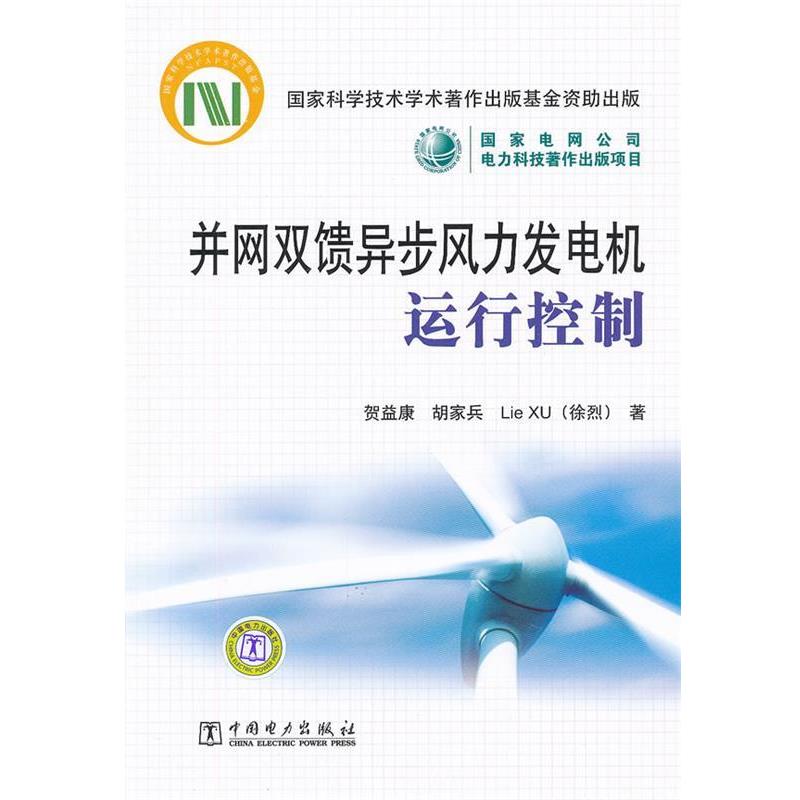 低速永磁发电机：水力并网新潮流，绿色能源的革命者