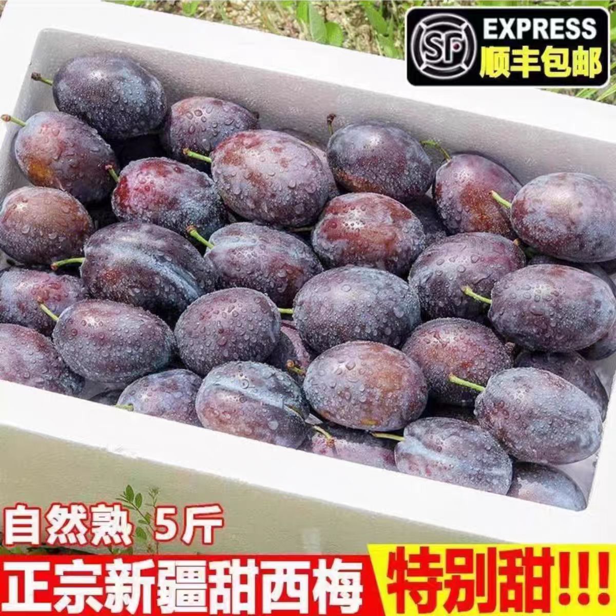 2025新鲜现摘西梅：法兰西甜蜜诱惑，孕妇也能安心享用的黑脆布林整箱福利