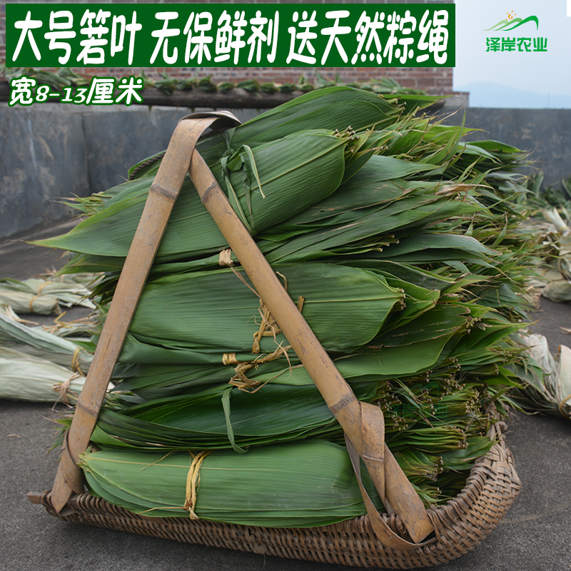 野生粽叶：解锁端午美味，包出正宗粽子的秘密武器！