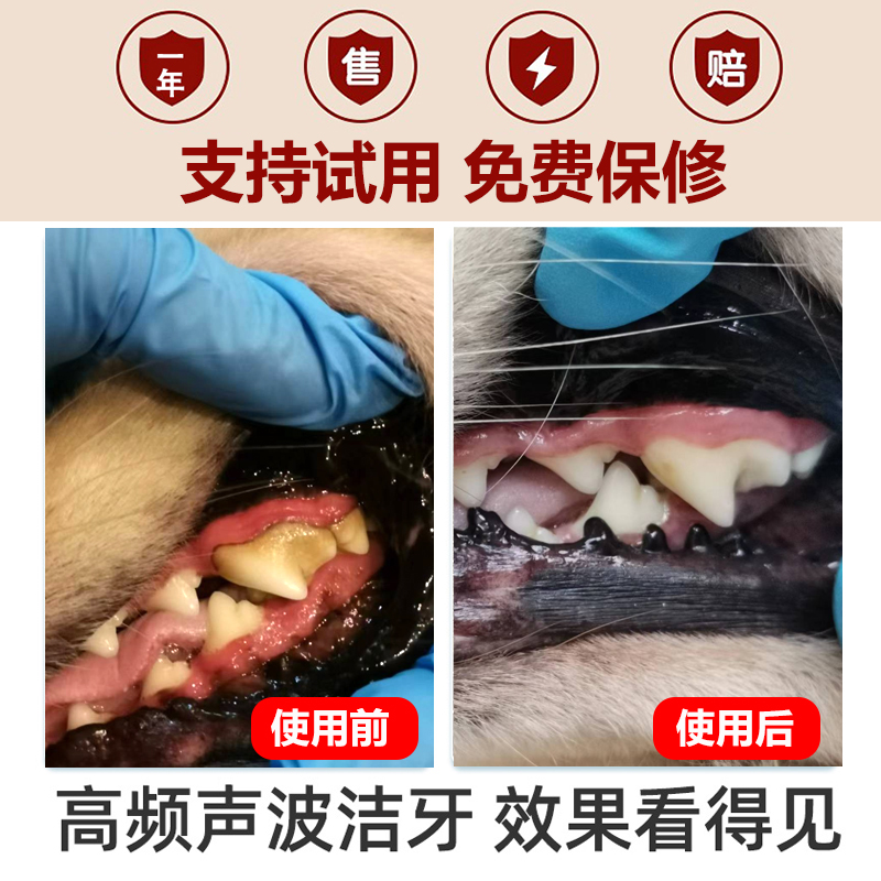狗狗牙结石克星！超声波洗牙器真的能救它？养宠必看