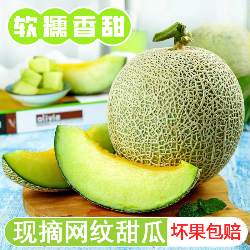 当季新鲜冰淇淋网纹蜜瓜，甜蜜来袭，整箱包邮，尝鲜不等待！