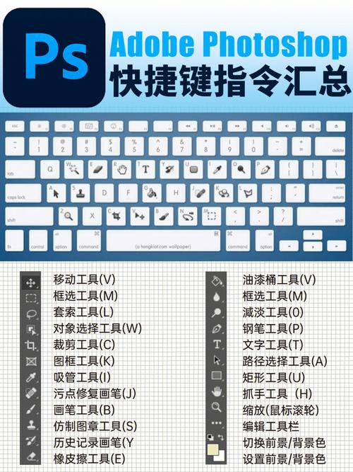 linux查看运行的服务,使用ps命令查看运行的服务