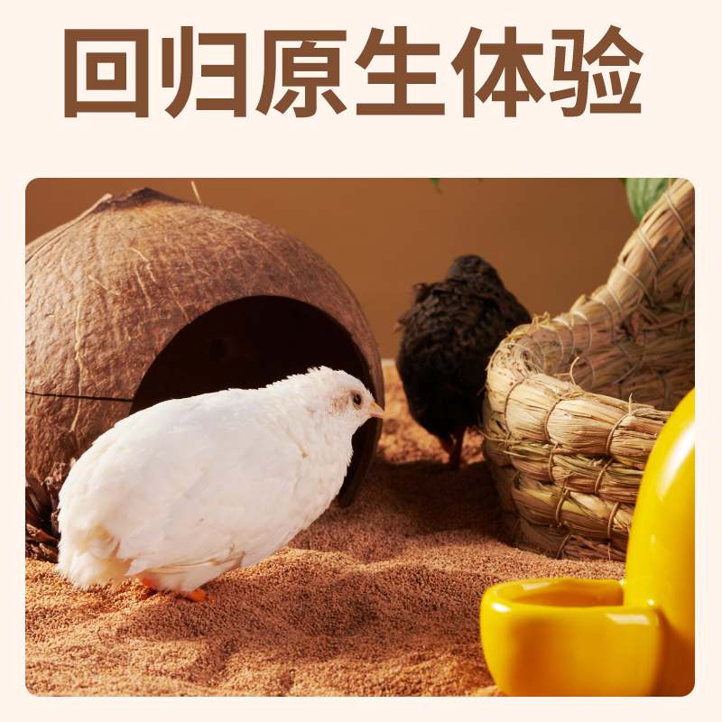 yee鹦鹉垫料核桃砂：让鸟笼清新如初的秘密武器！