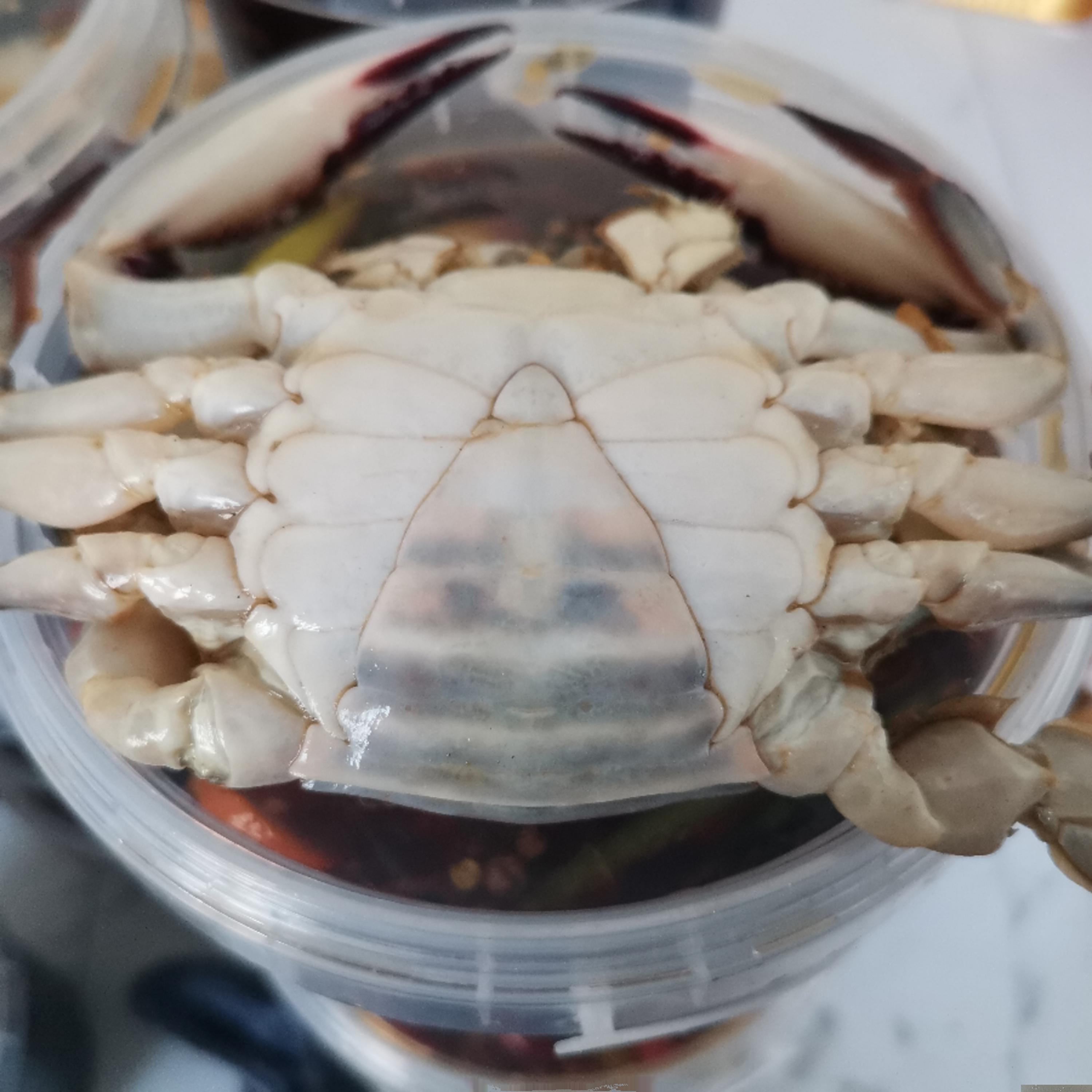 野生二母梭子蟹：鲜美海鲜新选择，让你吃出海洋的味道！
