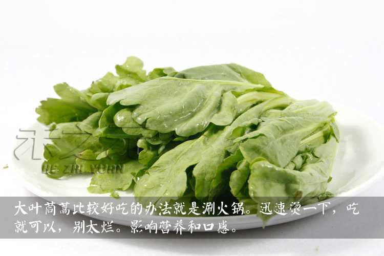 湖南旅游景点排名前十名大全：这些地方你还没去？别再错过了！
