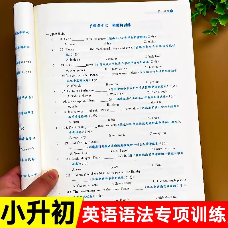 培优新帮手-小升初英语语法集训：轻松备战，满分不是梦！