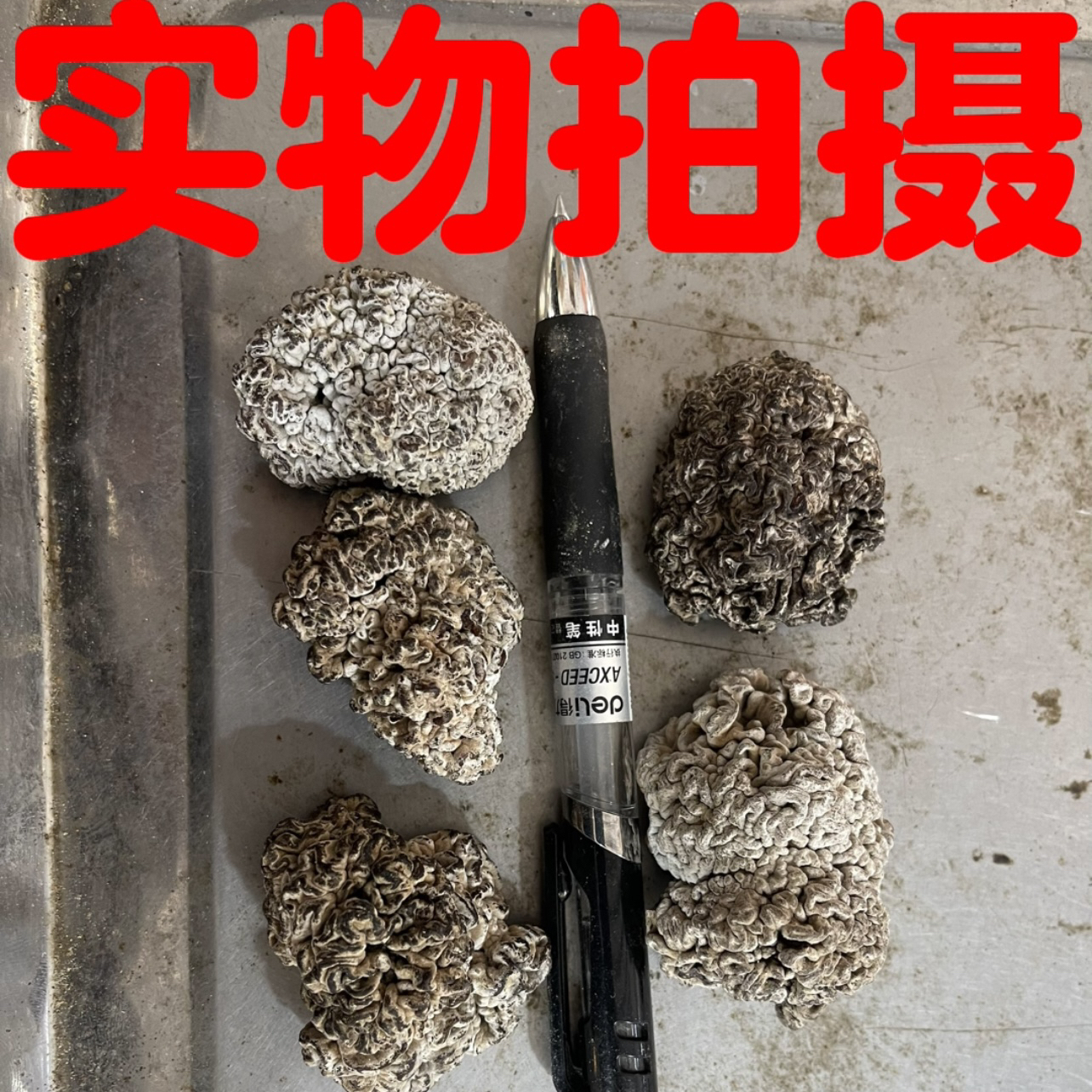 张太和黑玛咖180g罐装：开启活力新生活，泡茶神器来啦✨
