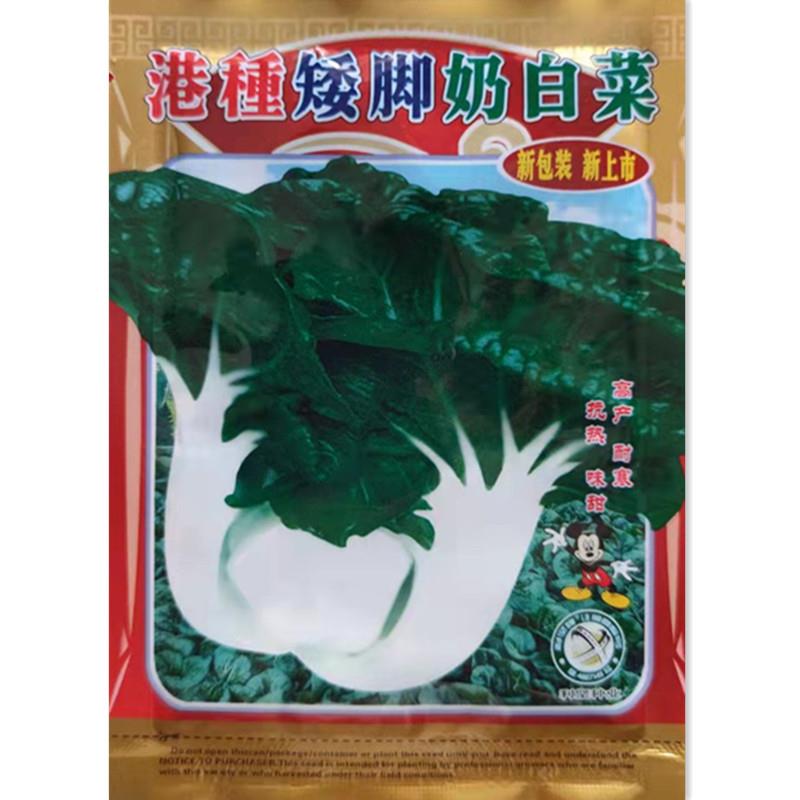 盆栽蔬菜种子：港种矮脚奶白菜，甜到爆！
