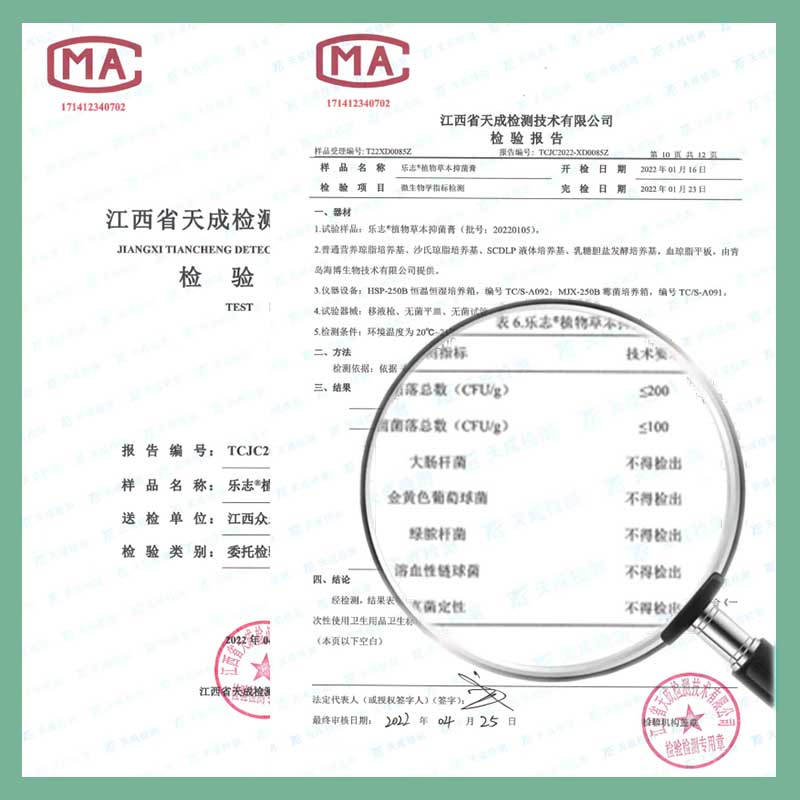 蚂蚁花呗收入财报大揭秘：财务数字背后的商业帝国