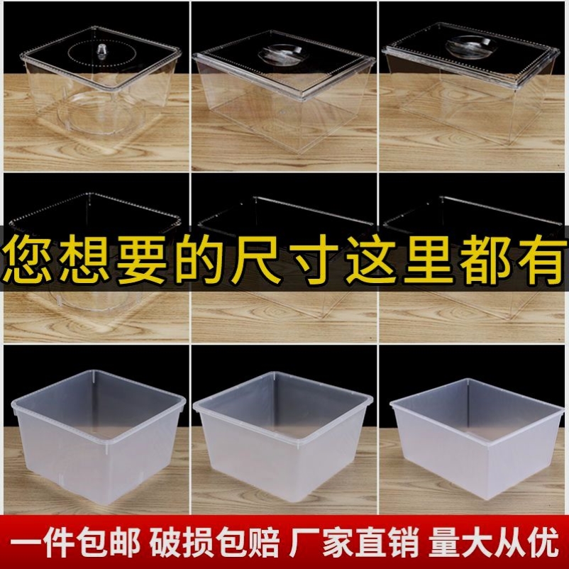加厚白色塑料胶框盆：养龟神器，还是洗菜好帮手？