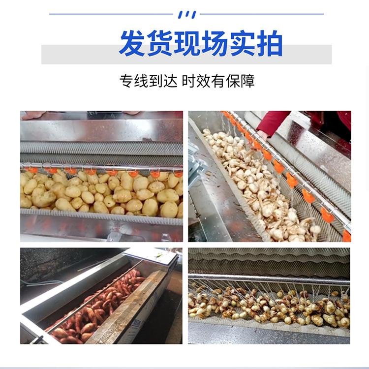 芋头马蹄毛辊清洗机：解锁大姜莲藕去皮清洗新技能，小型辣根去泥神器来了！
