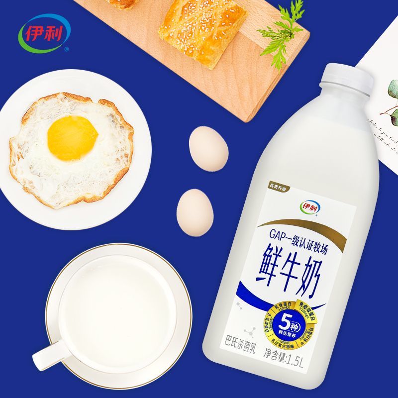 伊利鲜牛奶1.5L桶装：营养满满，全家共享的健康选择！