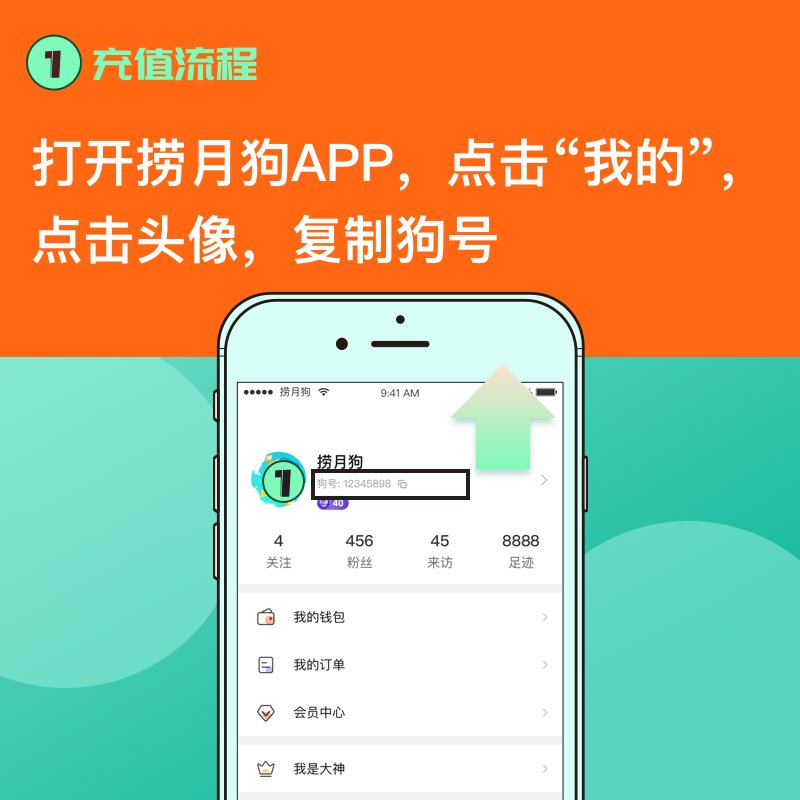 揭秘磁力狗官网最新版本：那些你不知道的秘密武器与小瑕疵
