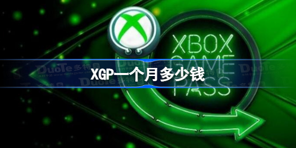 XGP一个月多少钱