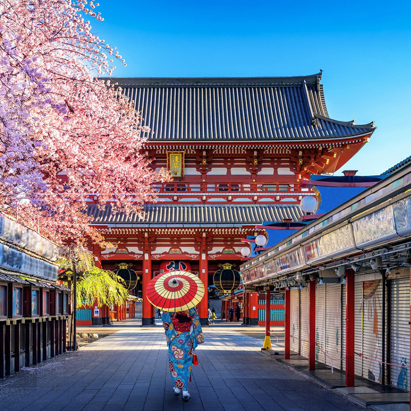 携程机票查询订单号：轻松搞定，告别购票烦恼！