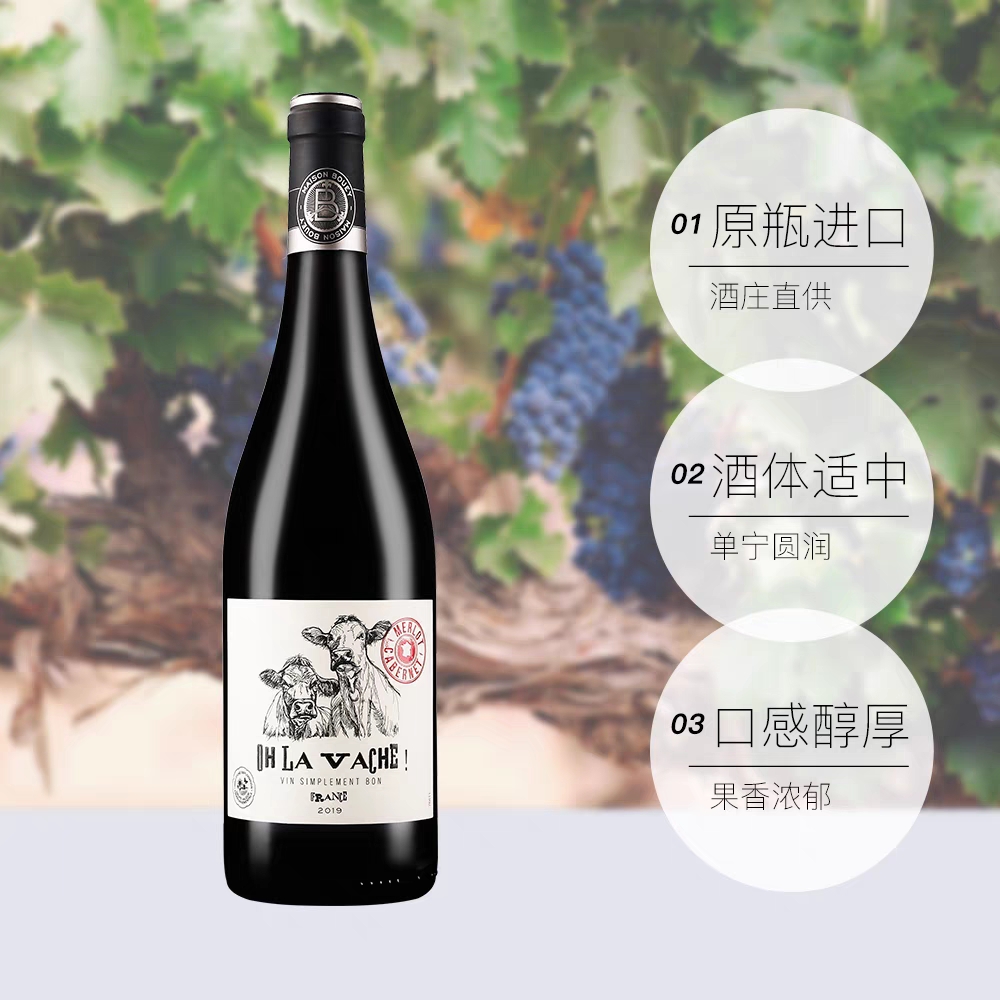 为什么一张女人独自品红酒的照片能如此吸引人？✨