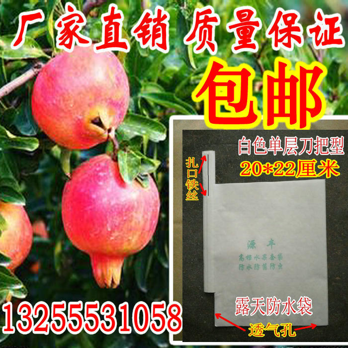 柿子套袋专用袋：守护你的果实，防水防虫包邮，让丰收无忧！