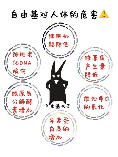 嗜血DNA,什么是嗜血DNA