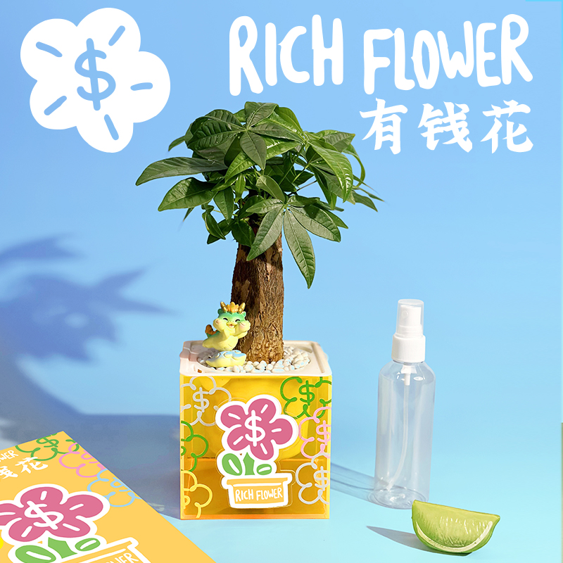 放青松会涨球：网球馆必备的氛围灯仿真盆栽，点亮你的运动空间！