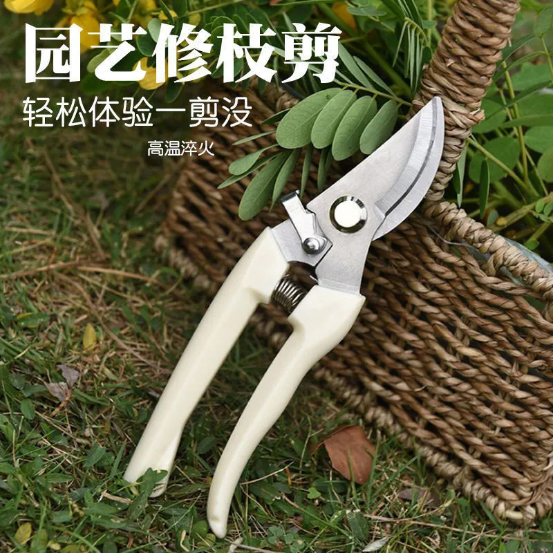 强力果树枝剪刀：园艺达人的必备神器，轻松修剪粗壮树枝！