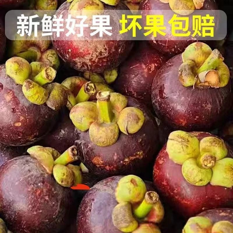 泰国进口山竹：空运直达，当季新鲜，春节送礼首选！