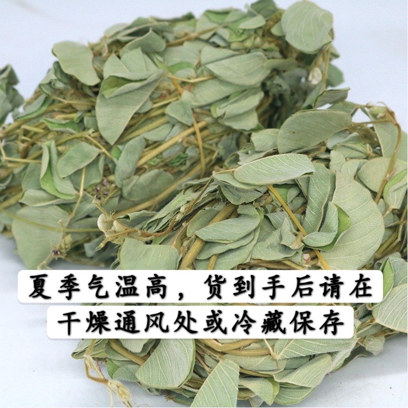 金钱草：广西新鲜野生小叶金钱草，泡茶神器，胆肾健康的守护神！