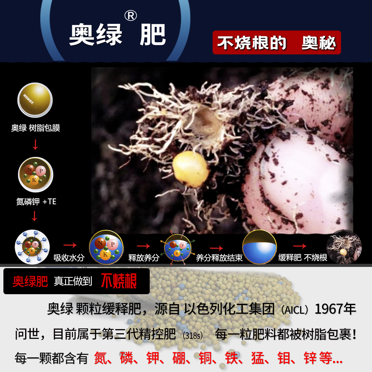 花肥料整包奥绿肥1号318S 315S 328S A2缓释肥复合肥：如何让你的兰花月季绽放得更加灿烂？