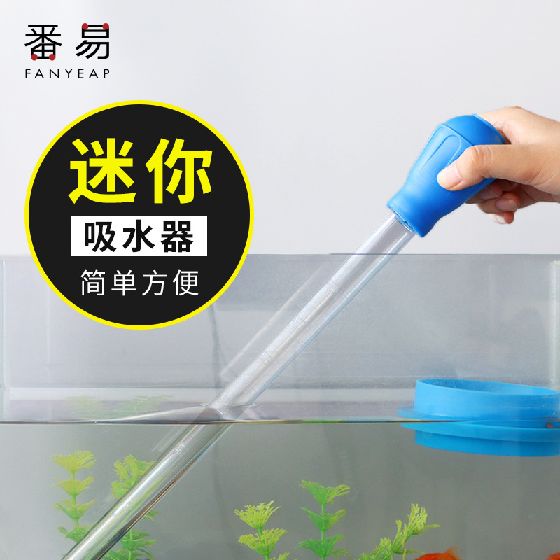 鱼缸捞鱼网大揭秘：小渔捞捕捞技巧，让养鱼生活更轻松！