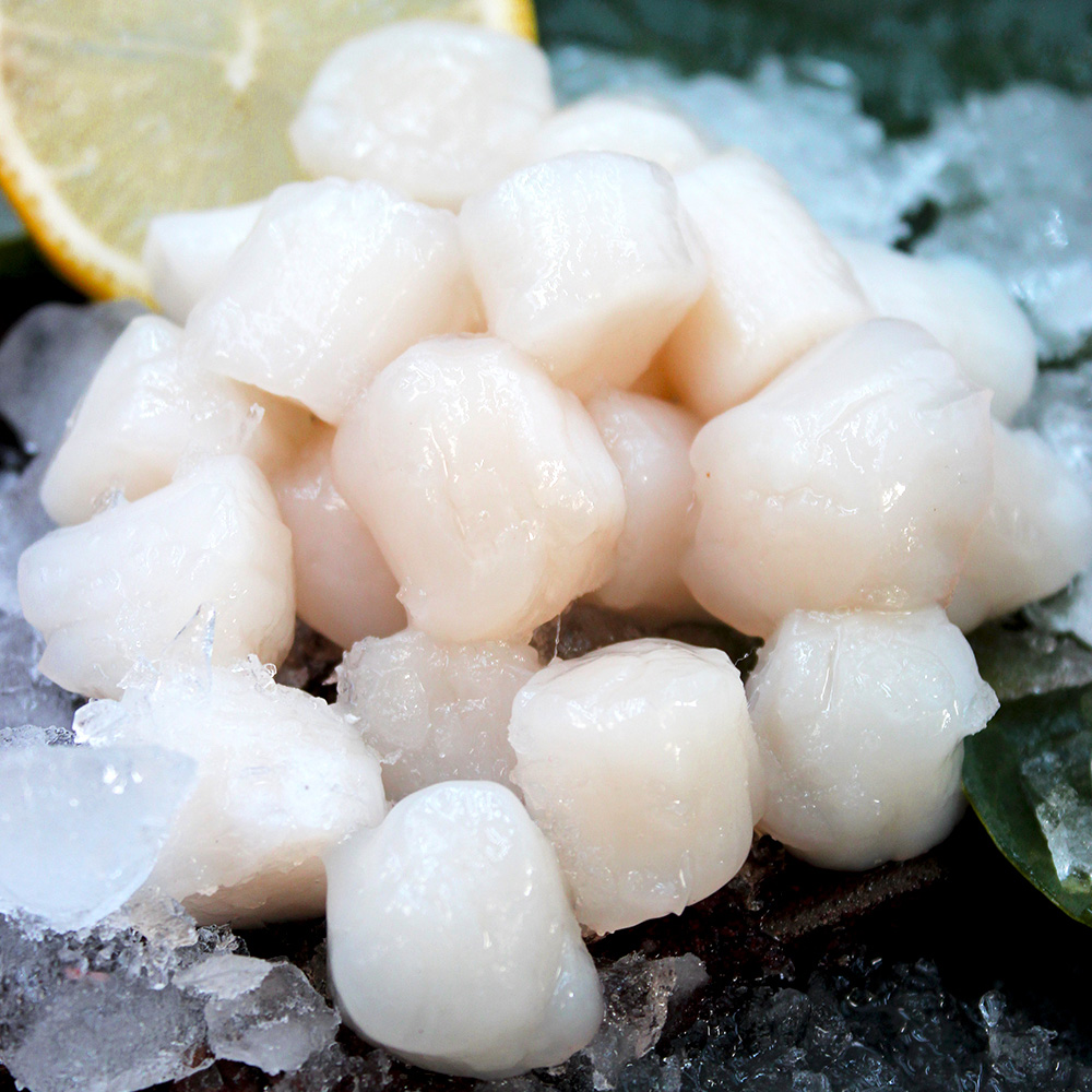 海鲜水产大揭秘：野生鲜贝柱、新鲜扇贝肉、原浆扇贝丁，这些鲜味王者你get了吗？