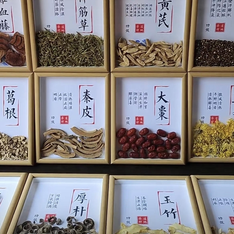中草药展示盒：开启中药世界的神秘之旅
