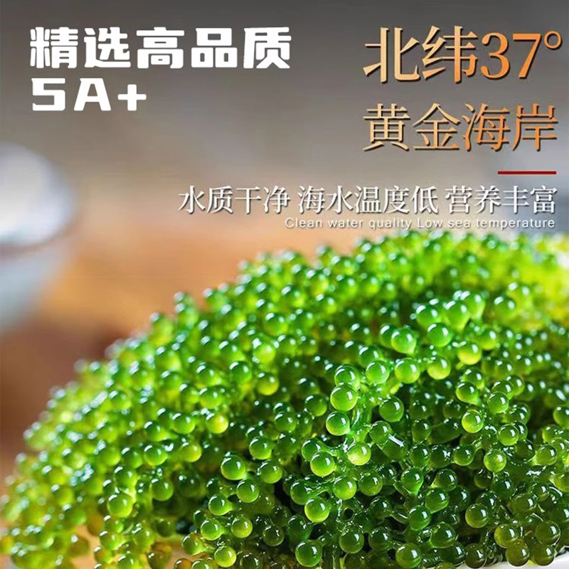 儿童海葡萄即食，开启宝贝味蕾新体验！