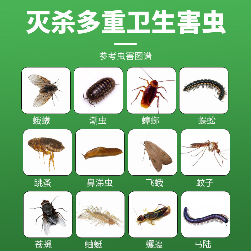 正版书《血缘与归属》：探寻家族历史的终极指南，9787511733290