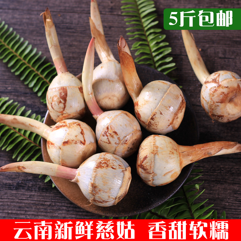 云南新鲜蓝慈姑，粉糯荸荠，吃出春天的味道！