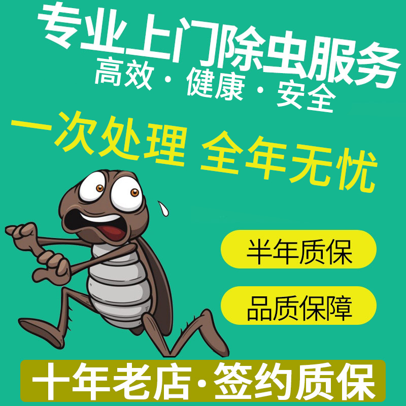 广州佛山上门灭白蚁除蟑螂灭老鼠：专业消杀服务，守护您的家居安宁！