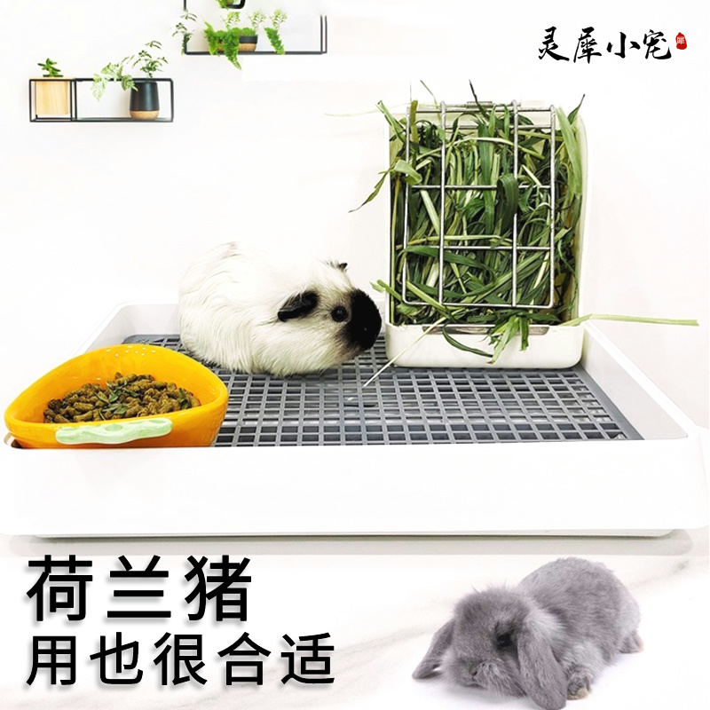 兔子厕所大揭秘：龙猫、荷兰猪豚鼠的专属卫生站，宠物厕所用品包邮！