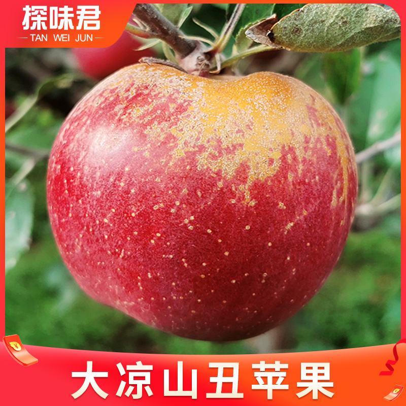 大凉山丑苹果：10斤新鲜水果当季现摘，盐源红富士冰糖心苹果整箱包邮，你真的不心动吗？