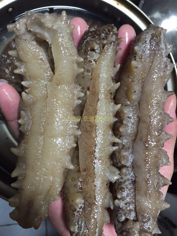 南美参大揭秘：墨西哥肥仔参&amp;足参，海味干货界的宝藏！✨
