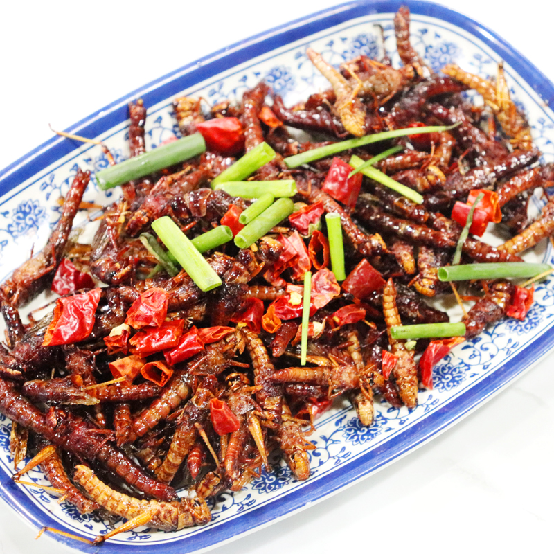 新鲜蚂蚱油炸即食酥脆蝗虫：探索另类美食的奇妙之旅！