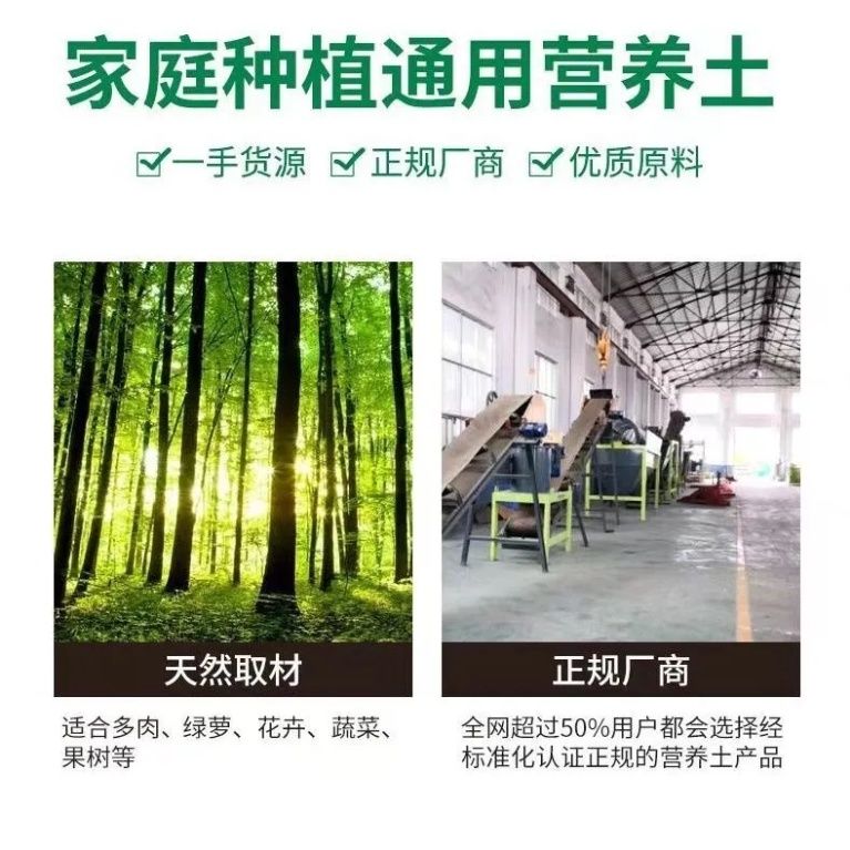 全球浪漫圣地婚纱照大赏：艾尔视觉澳门、珠海、新疆、川西、土耳其，哪款最打动你的心？