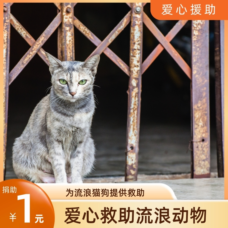 2024年回合端游游戏排行：这些神作你玩过吗？