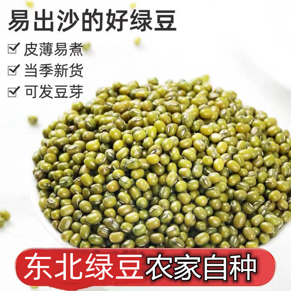 5斤新鲜绿豆发芽！煮粥神器来了！农家自产太香了！