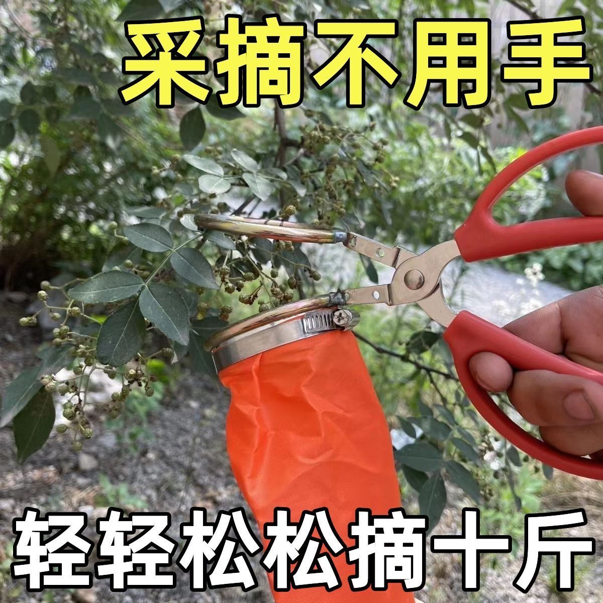 摘花椒神器来袭！电动花椒采摘机，轻松搞定麻辣盛宴！️