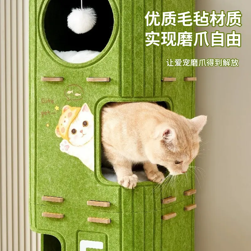 纸板桶变身创意猫窝：树洞、猫爬架、化工桶的奇妙之旅！