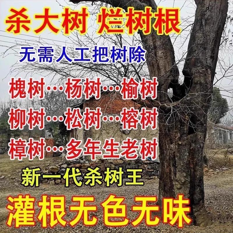 WooSmell屋闻大树系列新品香氛小样体验礼，享受回购券的香气盛宴！
