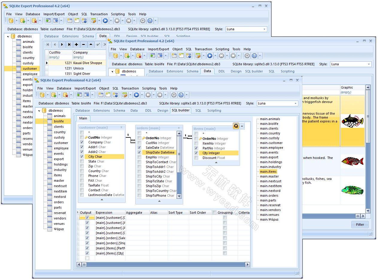 数据库管理工具 | SQLite Exper Professional v5.5.41.652 绿色便携版