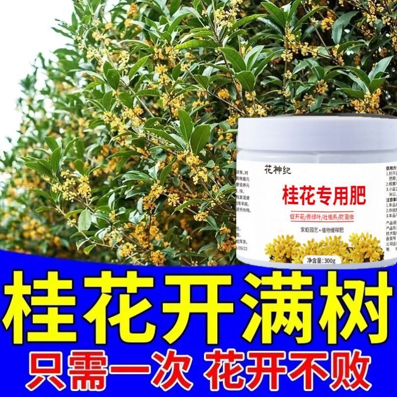 正版东北花生栽培理论与技术：种植者的必修课，科学施肥的圣经！