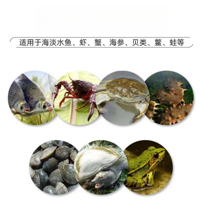 止血烂鳃灵草鲫鱼塘出血病烂鳃肠炎烂尾腐皮消毒杀菌水产养殖鱼药全攻略