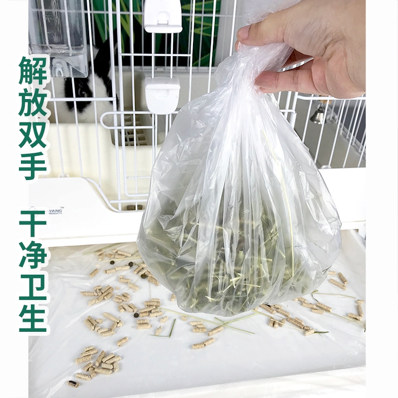 宠物荷兰猪：揭秘这些毛茸茸的小家伙们，到底有多可爱？