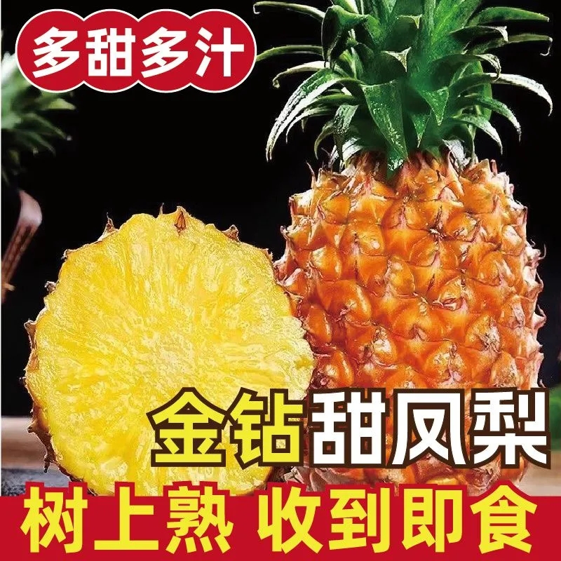 海南正宗金钻凤梨：香甜多汁，自然熟透的大菠萝，尝一口就是夏天的味道！